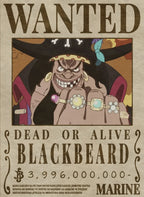 Blackbeard WantedPoster CO11349 - Image 2