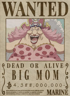 BigMom WantedPoster CO10181 - Image 2