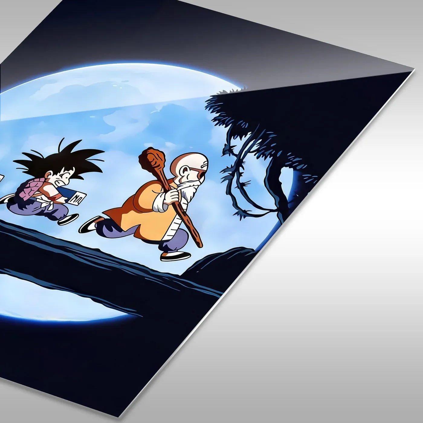 Goku Krillin Training CO14794 - Image 11