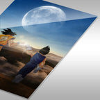 FistBump Goku Vegeta Friendship CO13645 - Image 11