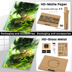 Broly SuperSaiyan CO13862 - Image 12